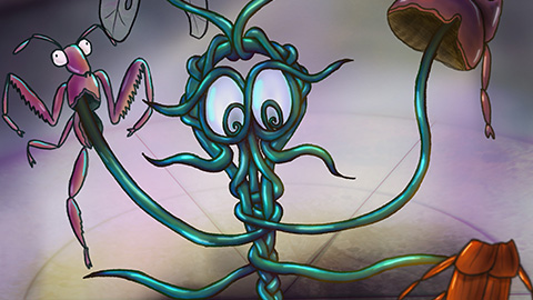 A parasite puppeteers insect corpses